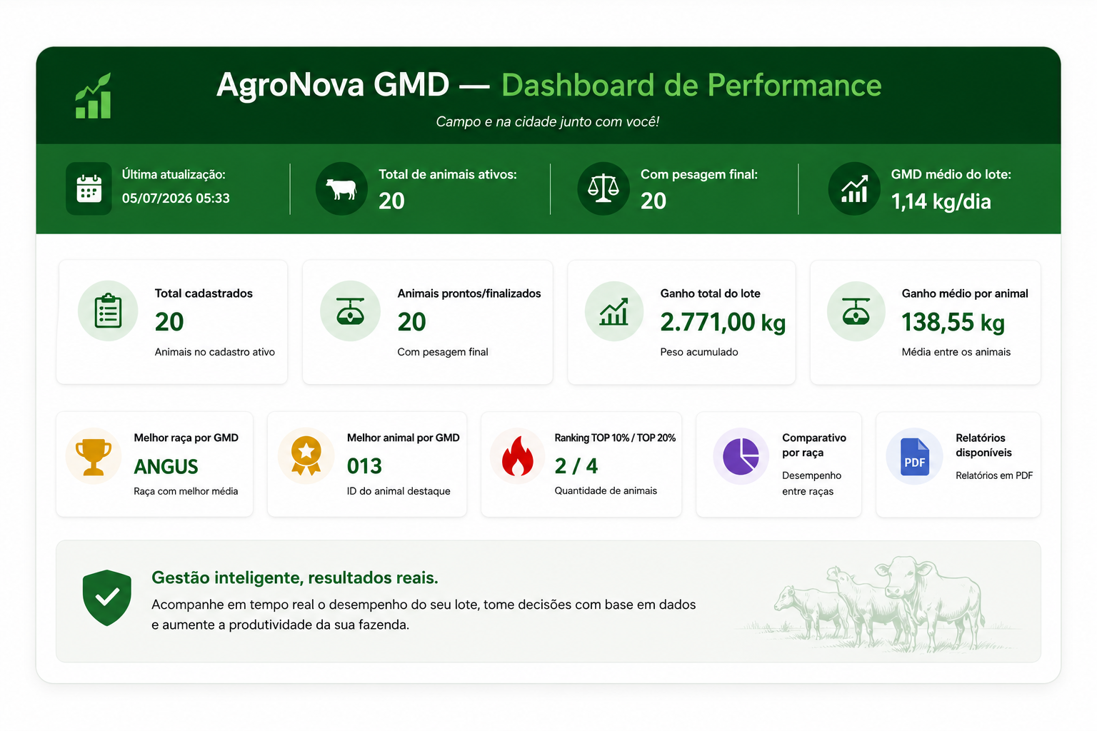Dashboard de desempenho da AgroNova GMD